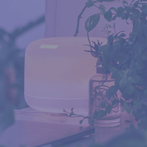 Air Purifiers & Dehumidifiers