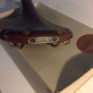 Brooks B17 Special Copper Rivets