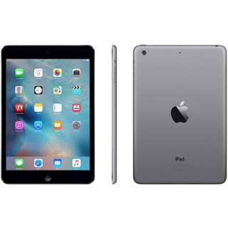iPad Mini 2