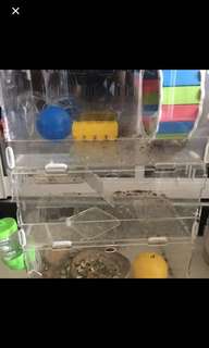 Hamster cage 