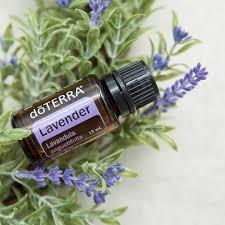 Lavender Doterra