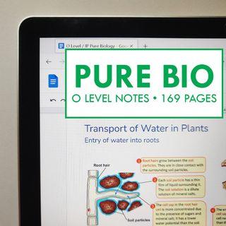 best!! pure biology o level notes sec 3, sec 4, upper sec, handmade notes, upper secondary, sci, science notes, chemistry, physics