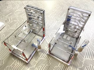 Ants Formicarium for sale.