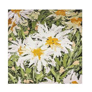Daisy - Oil Painting
