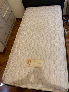 Single mattress (seahorse)
