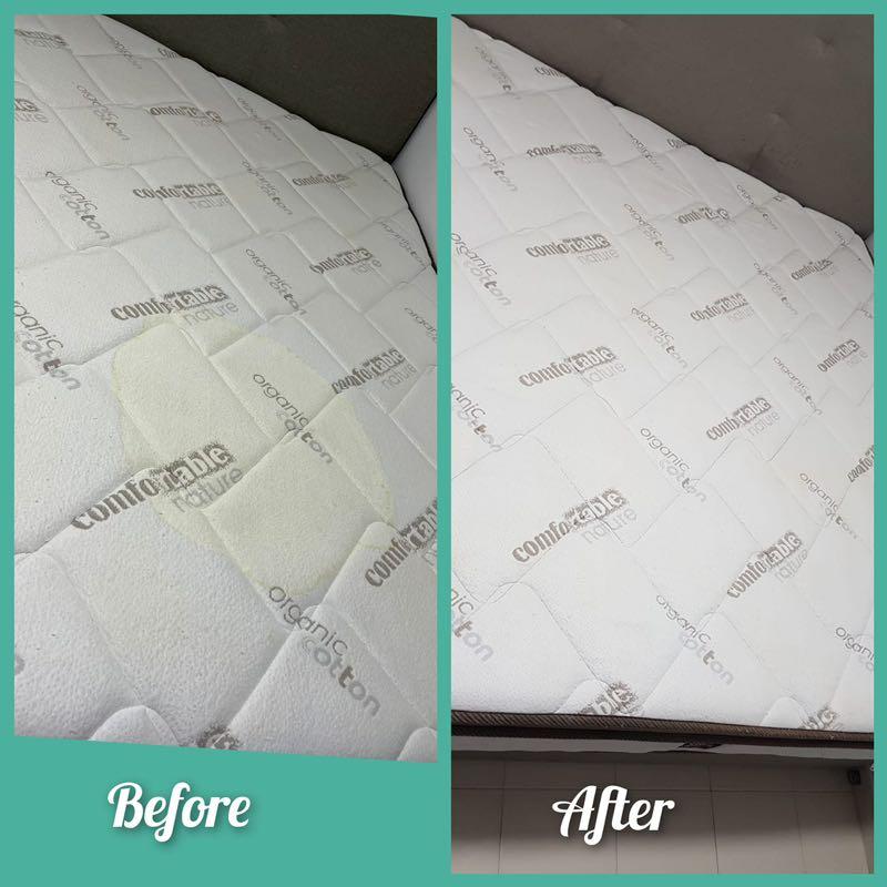 Deep shampoo extraction for sofa carpet mattress deep clean steam clean wet shampoo cleaning vacuum sofa cleaning service (Category: Sofa Cleaning) located in Singapore. Submitted by 4EVERCLEAN (Listing ID 1154688735, Image 2). Description: NEA licensed professional cleaning company. We are specialized in deep clean for residential and commercial. 4everclean.com.sg Single/super mattress - 98 Queen/king mattress - 118 🔥promotion 2 items - $20 off
