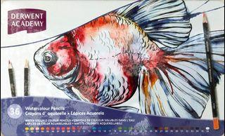 Derwent colour Pencil