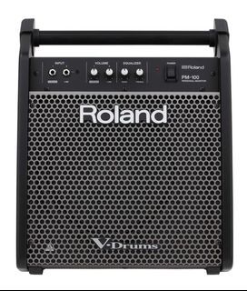 Roland PM-100 Electronic Drum Speaker