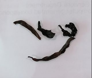 Da Hong Pao Oolong Tea