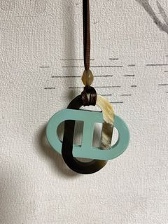 Horn enamel necklace