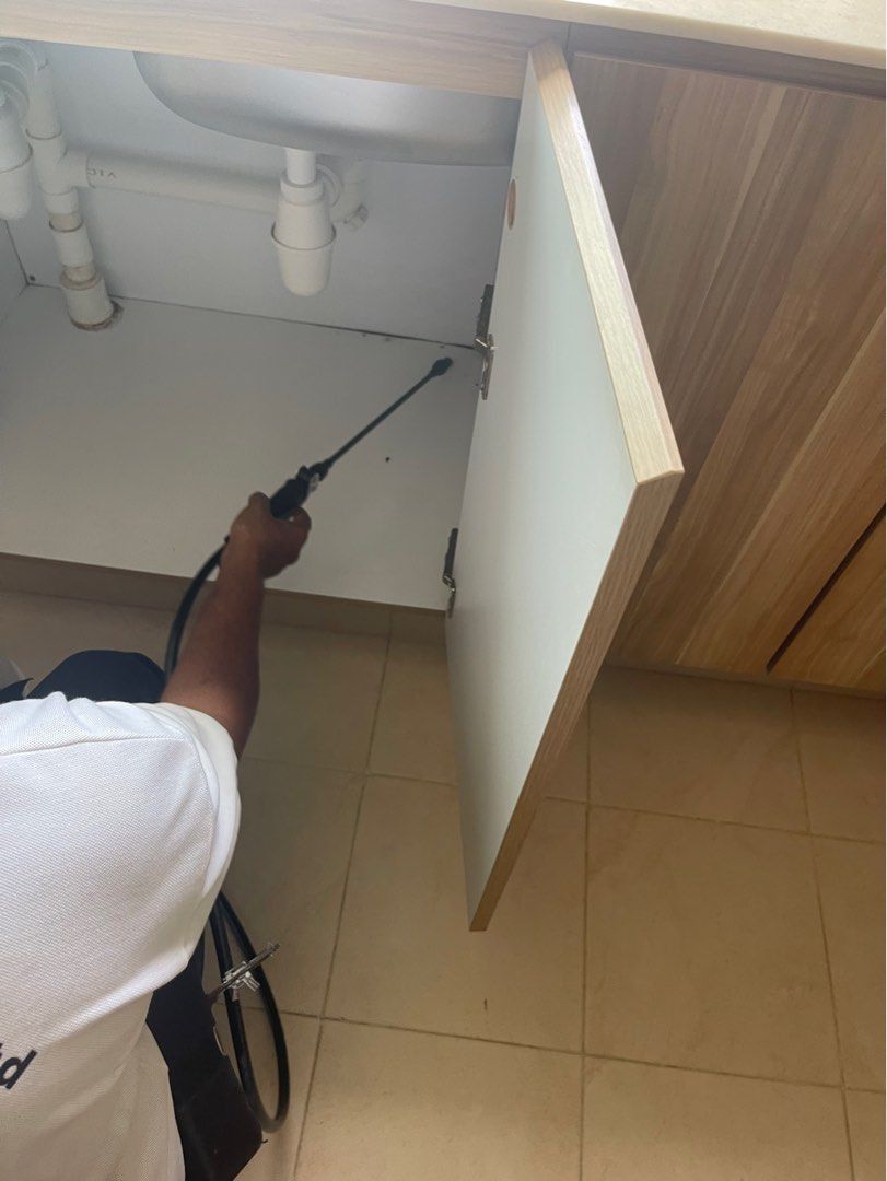 24Hours!!! Most affordable pest control and pest control services pest , pest control supplies & Premium Pest control home services!! (Experience of over 40 Years!, termites , bedbugs, cockroach , ants , termites , beehives , soil treatment and more ) (Category: Pest Control Services) located in Singapore. Submitted by A1PestSpecialistmgmt (Listing ID 1217628575, Image 4). Description: pest control 24 Hours! please contact using this link https:/