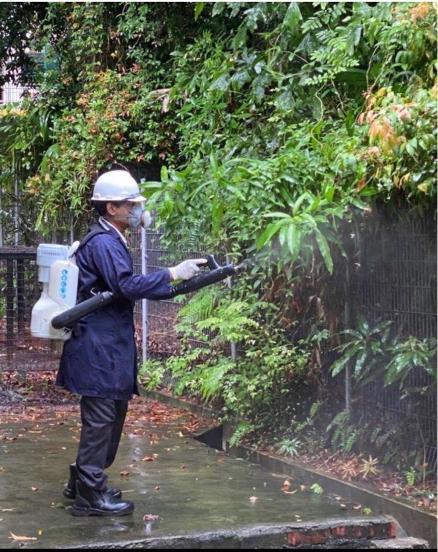 24Hours!!! Most affordable pest control and pest control services pest , pest control supplies & Premium Pest control home services!! (Experience of over 40 Years!, termites , bedbugs, cockroach , ants , termites , beehives , soil treatment and more ) (Category: Pest Control Services) located in Singapore. Submitted by A1PestSpecialistmgmt (Listing ID 1217628575, Image 5). Description: pest control 24 Hours! please contact using this link https:/
