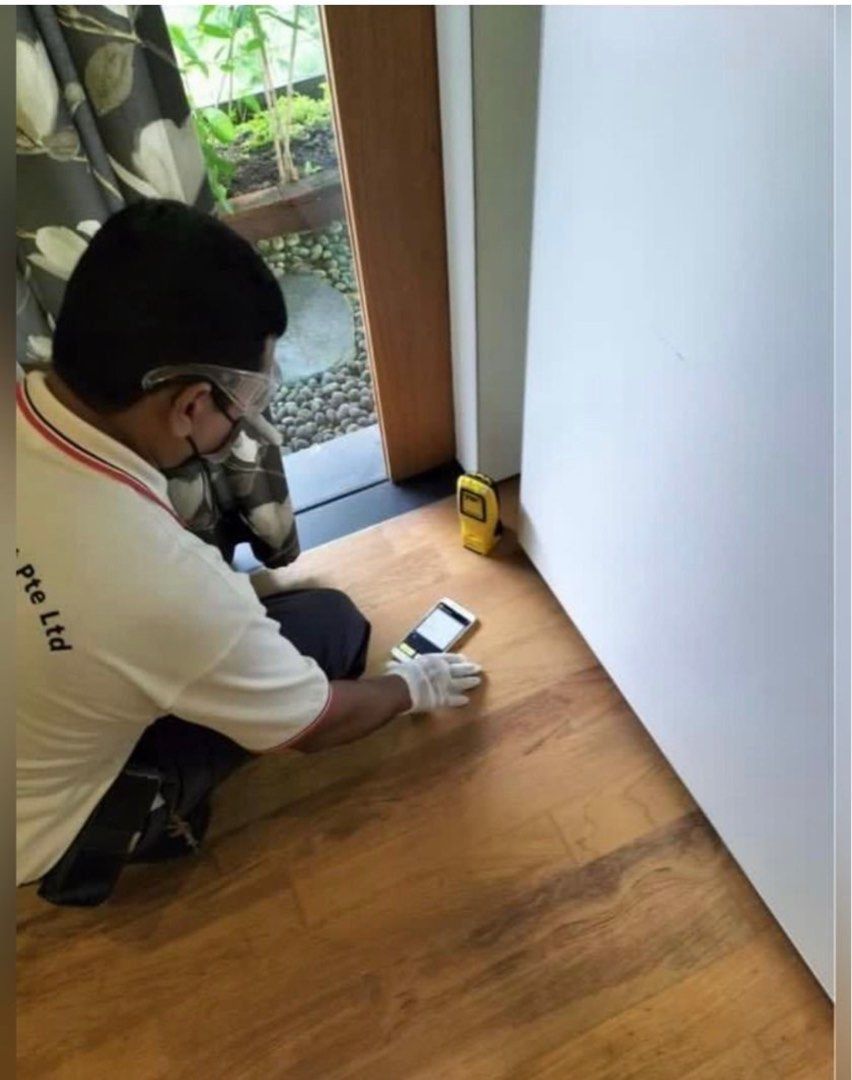 24Hours!!! Most affordable pest control and pest control services pest , pest control supplies & Premium Pest control home services!! (Experience of over 40 Years!, termites , bedbugs, cockroach , ants , termites , beehives , soil treatment and more ) (Category: Pest Control Services) located in Singapore. Submitted by A1PestSpecialistmgmt (Listing ID 1217628575, Image 1). Description: pest control 24 Hours! please contact using this link https:/