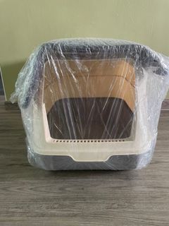 Cat litter & mat