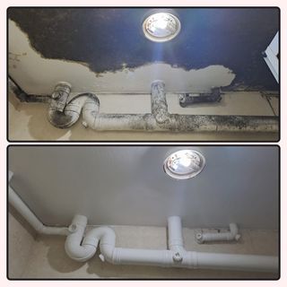 Mould Removal & Anti-Mould Painting | Toilet, Ceiling & Wall Treatment | Warranty