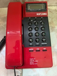Kazumi Home telephone