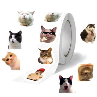 (free mail) 100pcs Emoji  Meme Cat Funny Small Size Waterproof Vinyl PVC Graffiti Stickers Label Decal Luggage Helmet Bike Laptop Phone Suitcase Water Bottle Guitar Skateboard