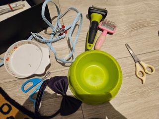 Rabbit or cat grooming brush, scissors,  bow