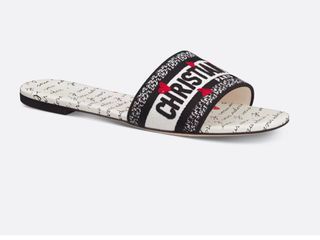 Dior Dway Slide