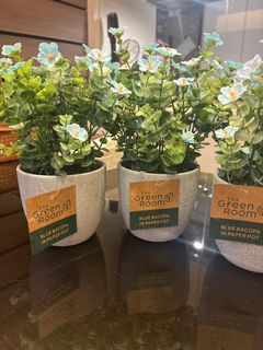 Artificial Bacopa flowers plant in Pot