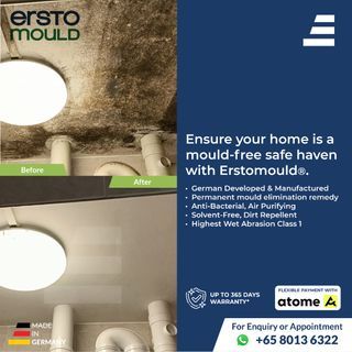 Anti-Mould Protective Coating | Stops Mould, Fungus, Mildew & Algae