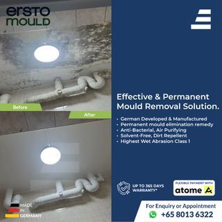 Mould removal / Anti mould treatment / Painting service / Toilet ceiling wall mould treatment