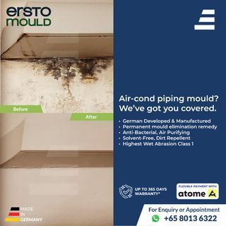 Anti-Condensation | Mould Painting Solution