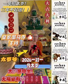Taisui 1 to 1 blessing believed to be strong wealth attraction, windfall luck, career growth, good health, love binding, prediction, foresight abilities, call back ex