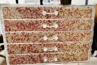 Bling Rhinestone Desktop Drawer Set For Sale!