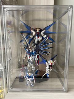 (Built)Freedom gundam with box