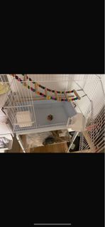 Large Bird Cage with Accessories