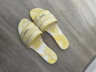 Bn Dior Dway Slide