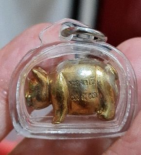 Thai amulet moo mahalarp thong tavee Lp Thong BE 2560 Wat Phra Puttabath Koayaihom.