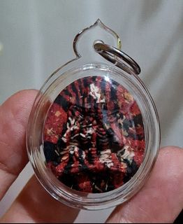 Thai amulet phra pidta jadephoot praithong Archan Dham.