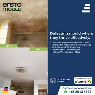 Mold removal / Mould removal / Painting Service / Anti-mold treatment / Anti-Mould / HDB, BTO, Condo, Landed / Painting