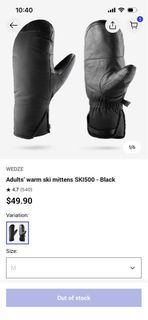 Adult ski/snowboarding mittens SKI500