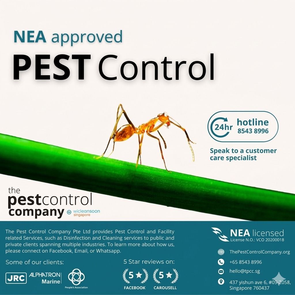20. Termite termites Any Pest Control Problems? Ant Bees Hornet Wasp Bagworm Silverfish Booklice Mosquito House fly Fruit Flies Rat Cockroach Termite Bedbug Rodent Mice Mouse White Ant Insect. CALL US. (Category: Pest Control Services) located in Singapore. Submitted by pestcontrolcompany (Listing ID 1092480844, Image 1). Description: Pest control services in Singapore. We solve ants issue for residence and commercial properties. And other pest c