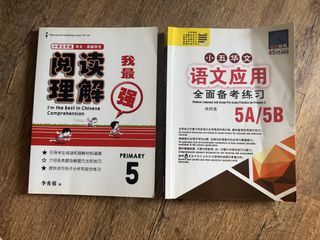 Primary 5  Chinese Comprehension & Chinese Language Workbooks
