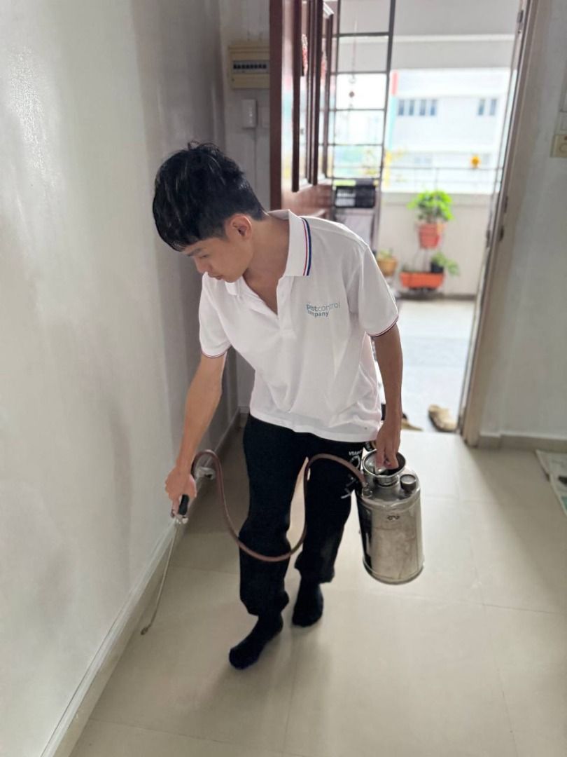 Pest Control Services | Cockroach Control (Free Inspection) (Category: Pest Control Services) located in Singapore. Submitted by wicleansoon (Listing ID 1430672880, Image 2). Description: 🛡️ Pest Control Services in Singapore | Fast, Safe & Effective Looking for reliable pest control in Singapore? At The Pest Control Company, we provide professional pest management solutions to keep your home and business pest-free. 🐜 Our Pest Control Services 