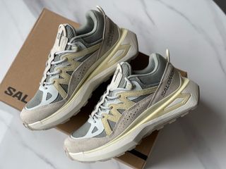 Salomon Collection item 3