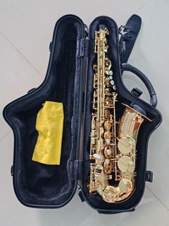 Trevor James SR (Bronze) Alto Saxophone with Red Carbine Bam case