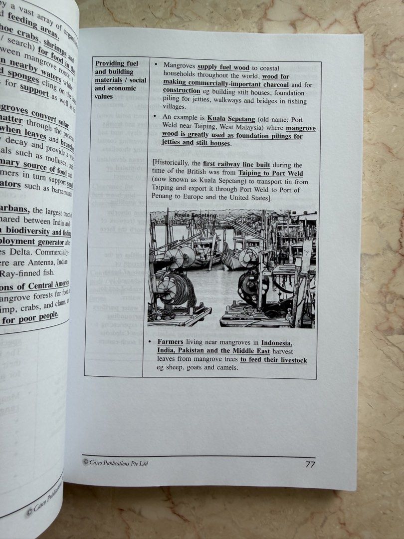 Casco O Level Geography Ultimate Guide Pure & New Study Guide (Category: Assessment Books) located in Singapore. Submitted by prescription_in_real_estate (Listing ID 1446713741, Image 5). Description: - Selling 2 O Level Geography study guides for $12 - Titles: Ultimate Guide Pure & New 'O' Level Geography. - Covers both pure and full geography topics. - Ideal for revision and understanding concepts. - Features concise notes and practice question