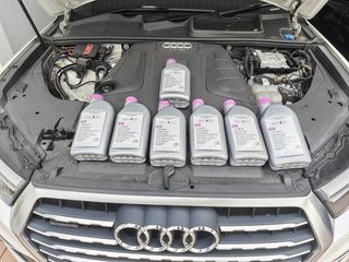 Audi coolant g13 volkswagen