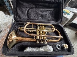 WISEMANN DCT-500 cornet