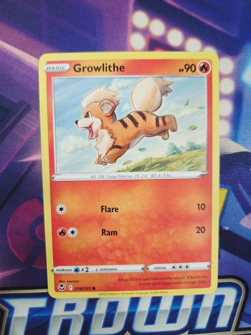 Growlithe - 019/195 Common Card from Silver Tempest (Category: Raw Cards) located in Singapore. Submitted by cottoncandy.owl (Listing ID 1449249203, Image 1). Description: $2. Sleeved upon pull. Mail +$2..