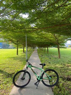 Polygon cascade 4 Mountain Bike - Mint Green