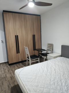 550b Segar Road Segar Palmview