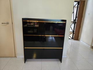 Black Glossy Shoe Cabinet