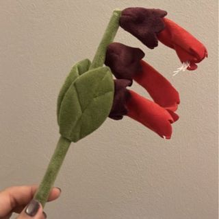 WTB CJ Hendry Red Lipstick Flower Plant
