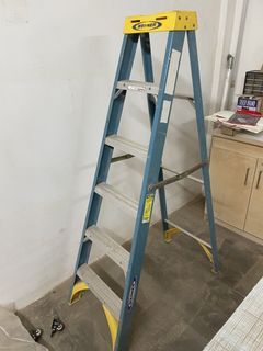 Werner 6ft Fiberglass rails ladder